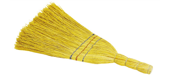 Broom, sorgho (broomcorn)