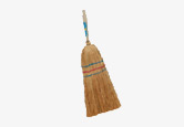 Broom little, sorgho (broomcorn)